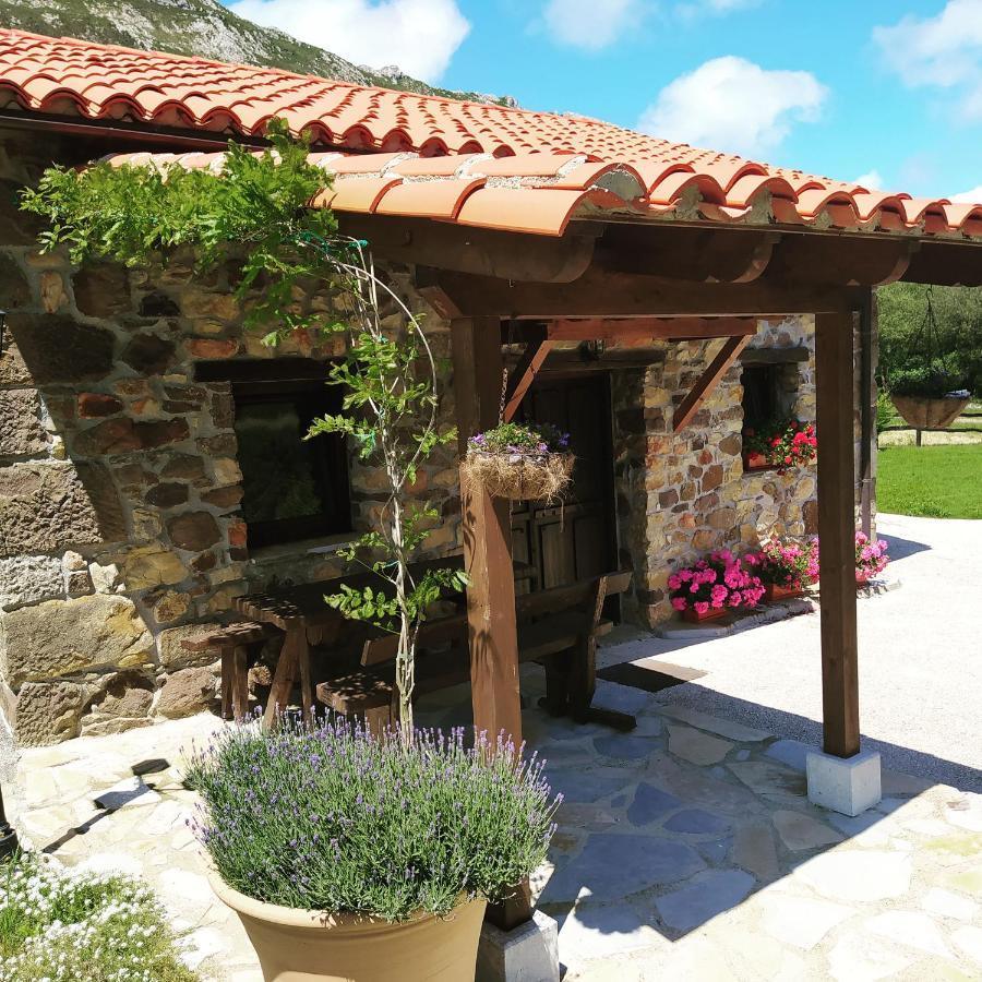 Cabana Del Jerreru Alea Exteriér fotografie